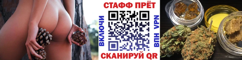 Где продают наркотики Пустошка Гашиш  Бошки Шишки  АМФ  Мефедрон  ЭКСТАЗИ  Cocaine 